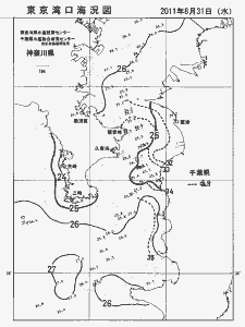東京湾口海況図(2011/08/31)