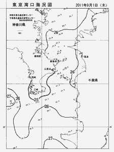 東京湾口海況図(2011/09/01)