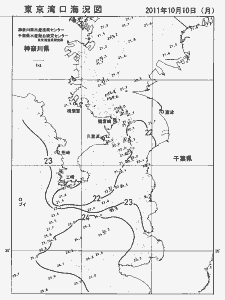 東京湾口海況図(2011/10/10)