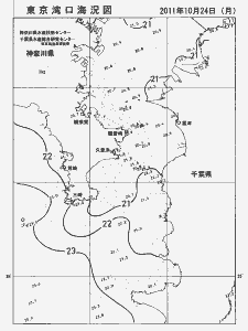 東京湾口海況図(2011/10/24)