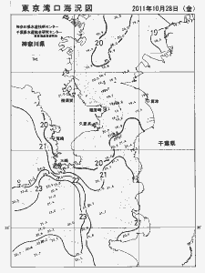 東京湾口海況図(2011/10/28)