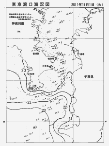 東京湾口海況図(2011/11/01)