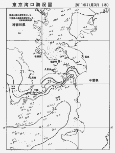 東京湾口海況図(2011/11/03)