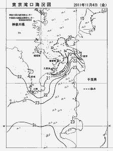 東京湾口海況図(2011/11/04)