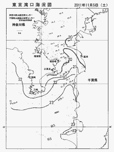 東京湾口海況図(2011/11/05)