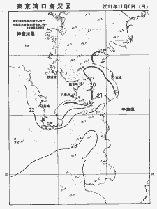 東京湾口海況図(2011/11/06)