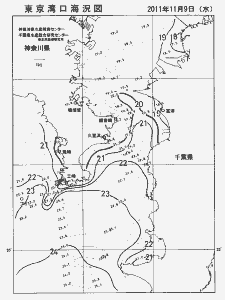 東京湾口海況図(2011/11/09)