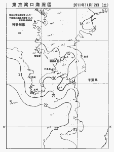 東京湾口海況図(2011/11/12)
