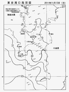 東京湾口海況図(2011/11/13)