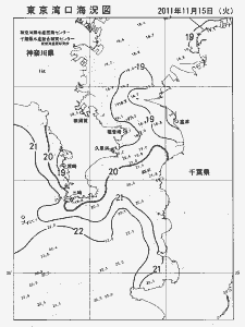 東京湾口海況図(2011/11/15)