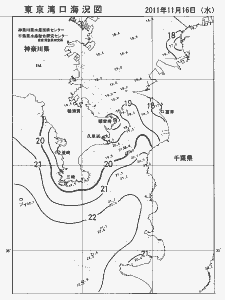 東京湾口海況図(2011/11/16)