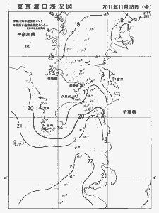 東京湾口海況図(2011/11/18)