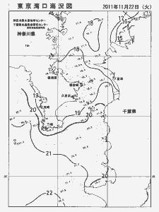 東京湾口海況図(2011/11/22)
