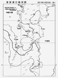 東京湾口海況図(2011/11/23)