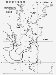 東京湾口海況図(2011/11/24)
