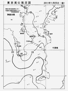 東京湾口海況図(2011/11/25)