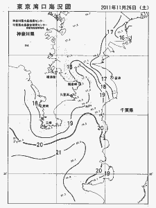 東京湾口海況図(2011/11/26)