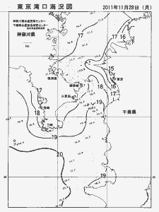 東京湾口海況図(2011/11/28)