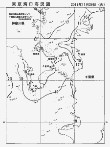 東京湾口海況図(2011/11/29)