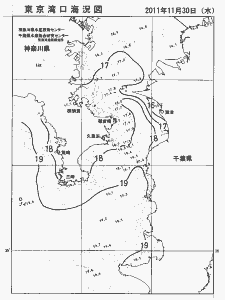 東京湾口海況図(2011/11/30)