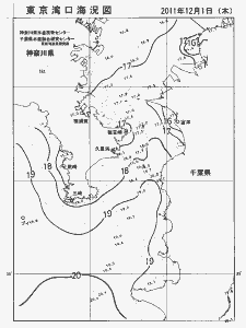 東京湾口海況図(2011/12/01)