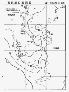 東京湾口海況図(2011/12/05)