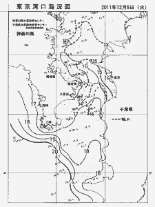 東京湾口海況図(2011/12/06)