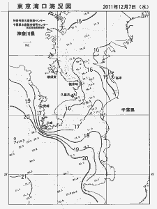 東京湾口海況図(2011/12/07)