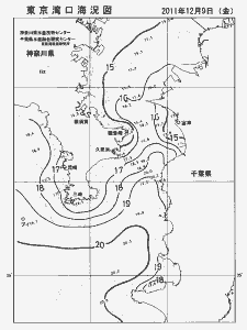 東京湾口海況図(2011/12/09)