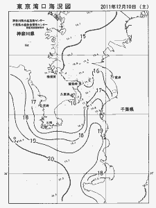 東京湾口海況図(2011/12/10)