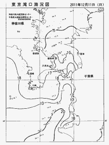 東京湾口海況図(2011/12/11)