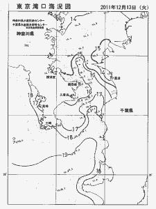 東京湾口海況図(2011/12/13)
