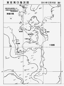 東京湾口海況図(2011/12/16)