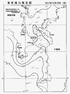 東京湾口海況図(2011/12/18)