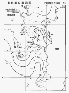 東京湾口海況図(2011/12/19)