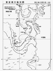 東京湾口海況図(2011/12/21)