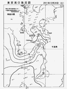 東京湾口海況図(2011/12/24)