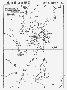 東京湾口海況図(2011/12/30)