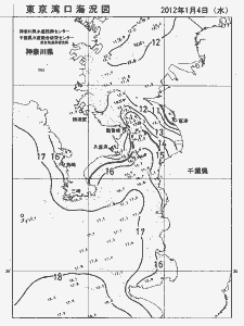 東京湾口海況図(2012/01/04)
