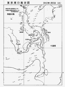 東京湾口海況図(2012/01/05)