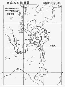東京湾口海況図(2012/01/06)