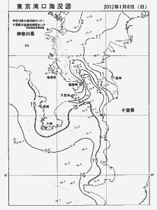 東京湾口海況図(2012/01/08)