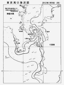東京湾口海況図(2012/01/09)