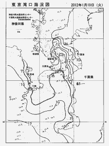 東京湾口海況図(2012/01/10)