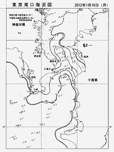 東京湾口海況図(2012/01/16)