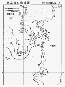 東京湾口海況図(2012/01/17)