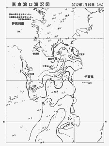 東京湾口海況図(2012/01/19)