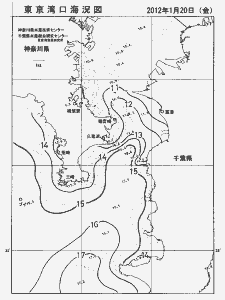 東京湾口海況図(2012/01/20)