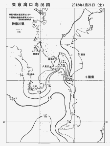 東京湾口海況図(2012/01/21)