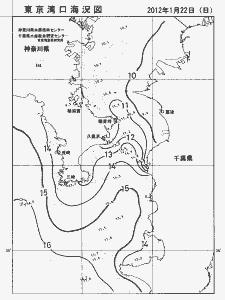 東京湾口海況図(2012/01/22)